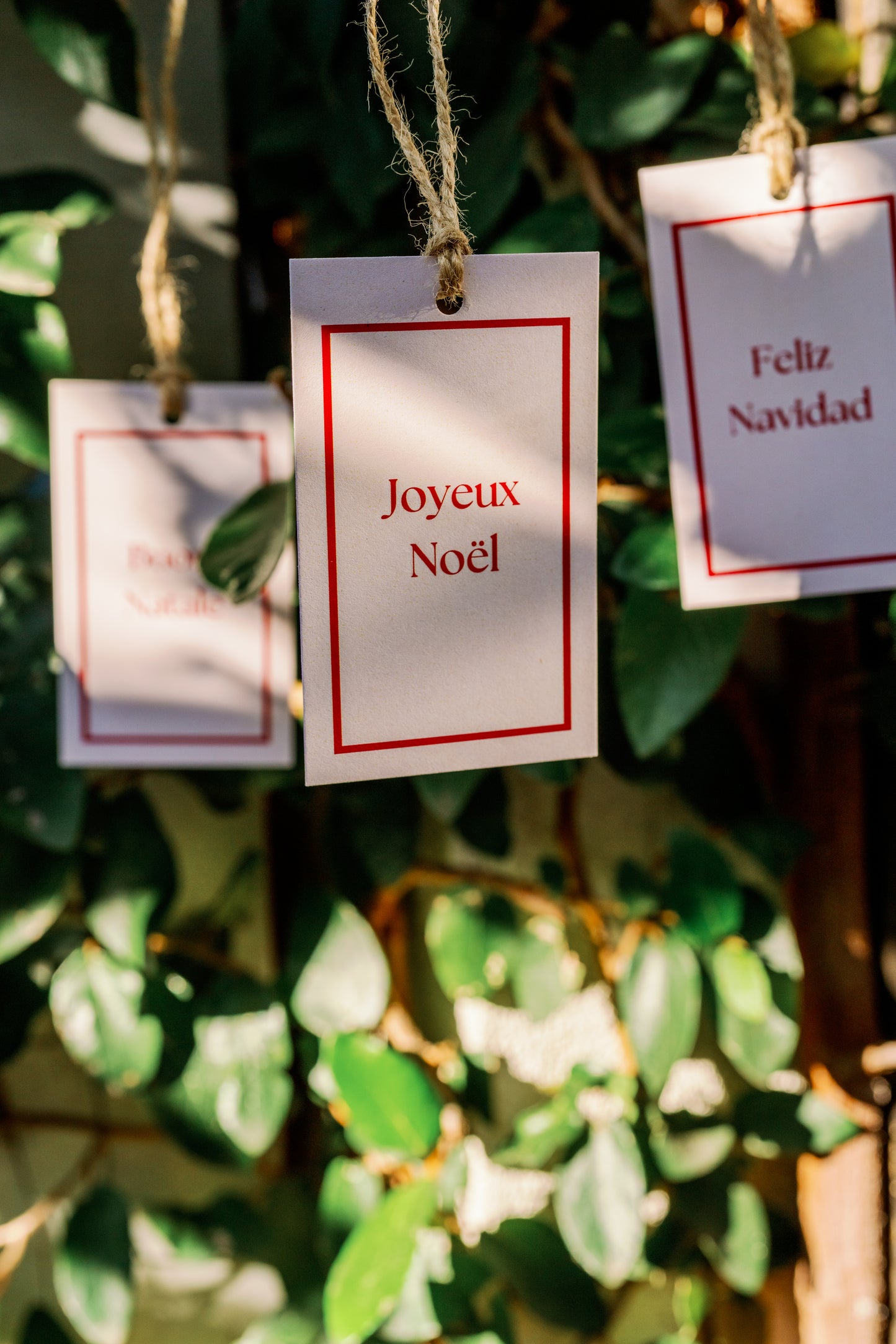 CHRISTMAS GIFT TAGS (10 pack)