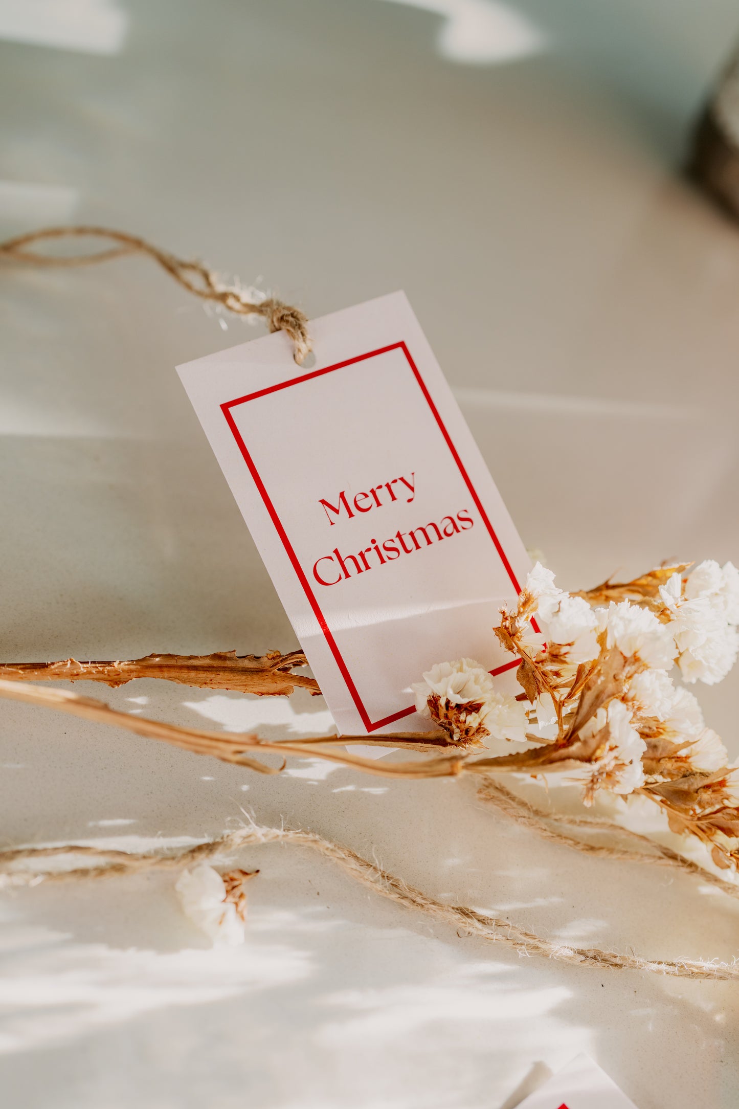 MERRY CHRISTMAS GIFT TAGS (10 pack)